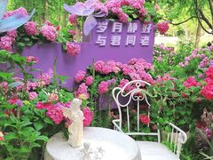 -上海滨江森林公园