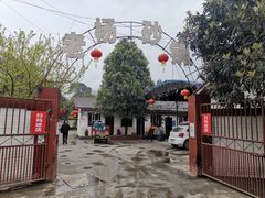 -老杨砂锅鱼庄