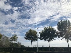 -贡湖湾湿地公园