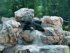 -北京野生动物园