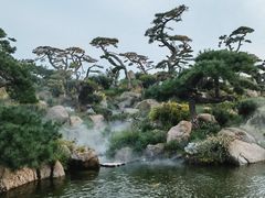 -罗红摄影艺术馆