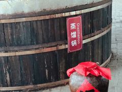 -乌镇东栅景区