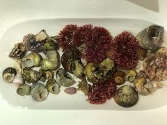 -石螺口海滩