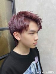 -IDOL-PLUS