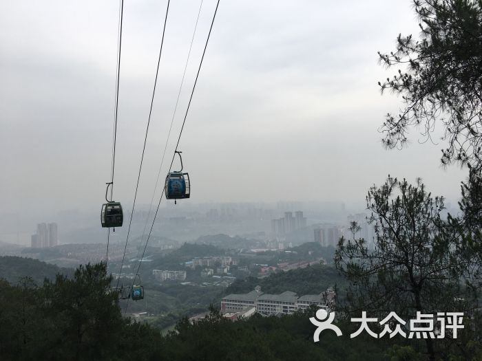 歌樂山國家森林公園-圖片-重慶周邊遊-大眾點評網