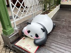 -轩客会(熊猫书店)