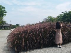 -映月湖公园