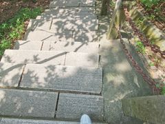 -梧桐山风景名胜区