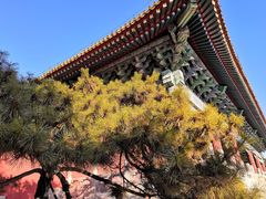 -北京市劳动人民文化宫(太庙)