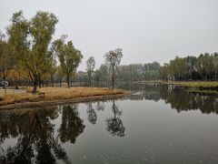-东郊湿地公园