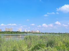 -绿堤公园