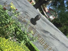 -文瀛公园