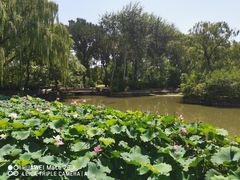 -北京动物园-畅观楼