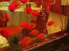 -九花山烤鸭店