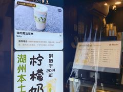 -猫的魔法密林(衣裳街店)