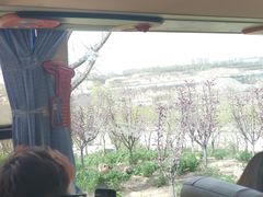 -太原动物园