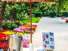 -红黄蓝幼儿园(颐东苑店)