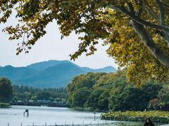 -北山街历史文化街区