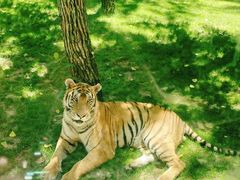 -北京野生动物园