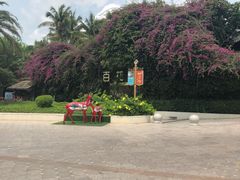 -亚龙湾亚泰商业街