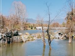-黑龙潭公园