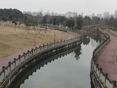 -眉山湿地公园(东坡区)