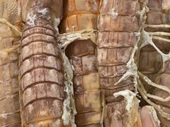 -北京清河镇农副产品交易市场中心