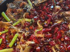 -老板恋上鱼(恒隆广场店)