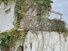 -广西壮族自治区药用植物园