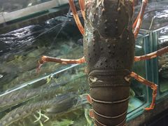 -班赞海鲜市场胖阿姨加工点