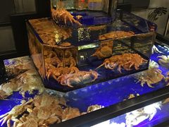 -蟹道乐(道顿堀本店)