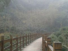 -凤栖山