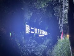 -醉二娘正宗西昌火盆烧烤(大丰店)