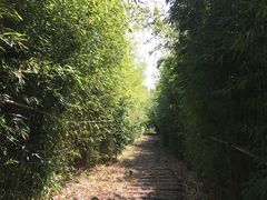 -洛龙公园