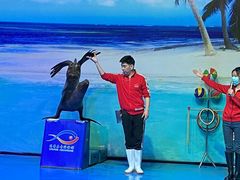 -乌鲁木齐海洋馆