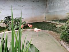 -成都动物园