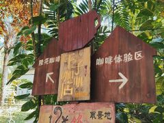 -兴隆隆苑咖啡庄园