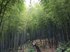 -蜀南竹海景区