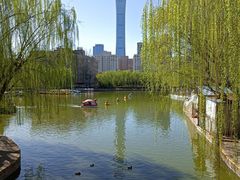-团结湖公园