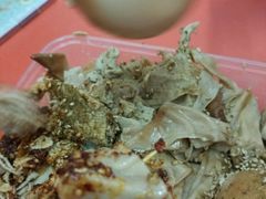 -老王豆皮