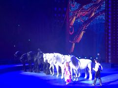 -珠海横琴长隆《卡卡虎奇遇记》