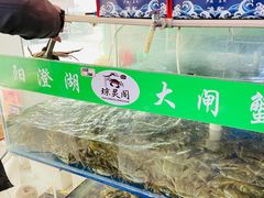 -阳澄湖大闸蟹·琼灵阁牌品牌连锁(吴中总店)