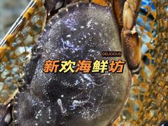 -新欢海鲜坊(赖屋店)