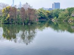 -海珠湖公园