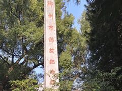 -柳侯公园