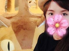 -伊豆泰迪熊博物馆