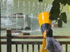 -广州白江湖森林公园