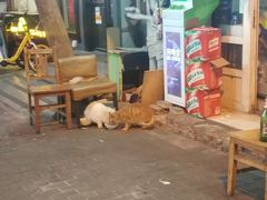-同来顺烧烤餐厅(哈尔滨道店)