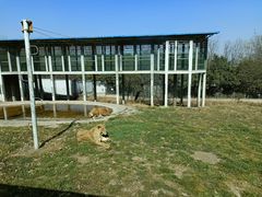-西安秦岭野生动物园