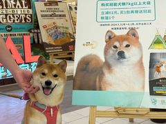 -帕帕拉兹宠物(亚洲旗舰店)